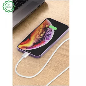 کابل شارژ USB-C به USB-C به طول 2 متر 60W مدل Earldom EC-190C-C (100% اورجینال)