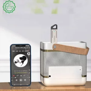 دانگل و گیرنده بلوتوثی ماشین میکروفن دار مدل ایرلدام Earldom BR20 (100% اورجینال)