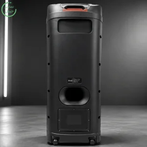 اسپیکر پارتی باکس قابل حمل به همراه دو میکروفن و ریموت مدل Brodu BTS-2121