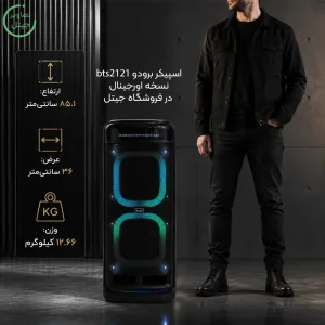اسپیکر پارتی باکس قابل حمل به همراه دو میکروفن و ریموت مدل Brodu BTS-2121