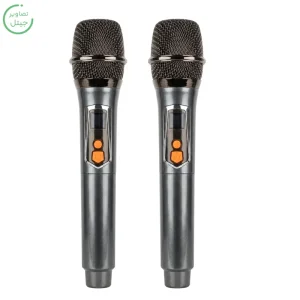 اسپیکر پارتی باکس قابل حمل به همراه دو میکروفن و ریموت مدل Brodu BTS-2407