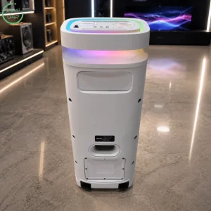 اسپیکر پارتی باکس قابل حمل به همراه دو میکروفن و ریموت مدل Brodu BTS-2407