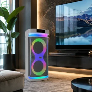 اسپیکر پارتی باکس قابل حمل به همراه دو میکروفن و ریموت مدل Brodu BTS-2407