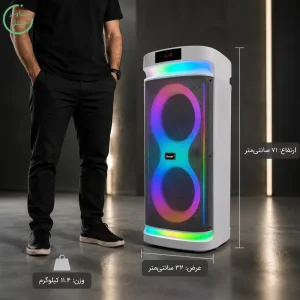 اسپیکر پارتی باکس قابل حمل به همراه دو میکروفن و ریموت مدل Brodu BTS-2407