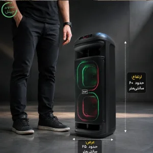 اسپیکر پارتی باکس قابل حمل به همراه میکروفن مدل Brodu BTS-2261