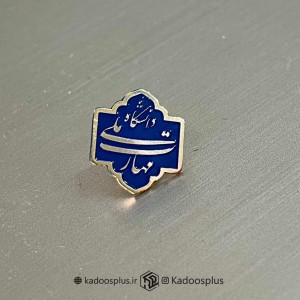 بج سینه دانشگاه ملی مهارت