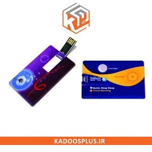 فلش مموری کارت ویزیتی