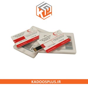 فلش مموری کارت ویزیتی
