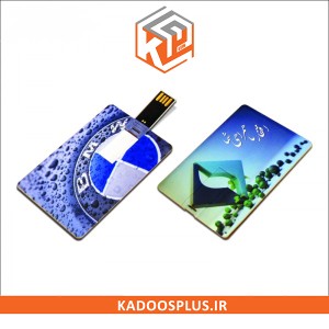 فلش مموری کارت ویزیتی