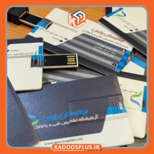 فلش مموری کارت ویزیتی
