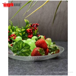 پیش دستی  پاشاباغچه مدل جنریشن