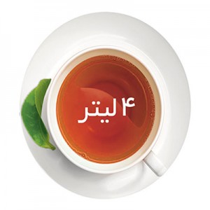 چای ساز میگل مدل TS301