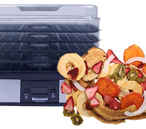 میوه خشک کن دلمونتی مدل DL190