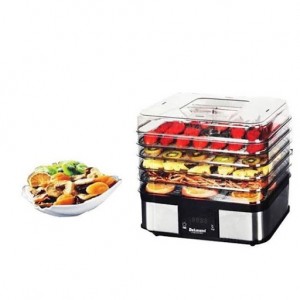 میوه خشک کن دلمونتی مدل DL190