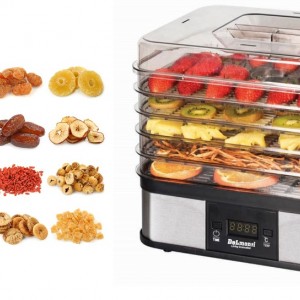 میوه خشک کن دلمونتی مدل DL190