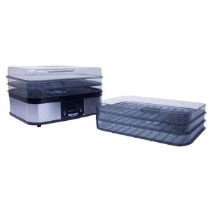 میوه خشک کن دلمونتی مدل DL190