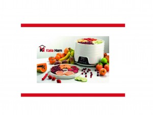 چگونه یک میوه خشک کن خوب بخریم؟