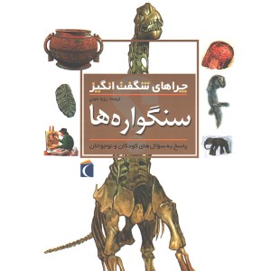 کتاب چراهای شگفت انگیز سنگواره ها اثر کریس پلان