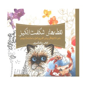 کتاب رنگ آمیزی نقطه های شگفت انگیز اثر گرت مور