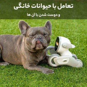 ربات هوشمند خانگی Loona مدل Petbot