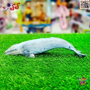 مناسب برای دکور: گزینه‌ای عالی برای دکوراسیون ویترین‌ها و مجموعه‌های کلکسیونی