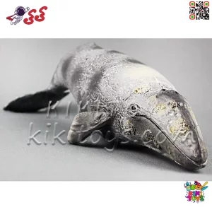 ابعاد مناسب: ابعاد استاندارد برای استفاده به‌عنوان اسباب‌بازی یا دکوری.