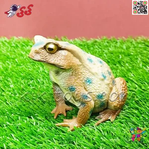 فیگور حیوانات ماکت قورباغه اسباب بازی Frog﻿﻿ fiqure مدل 3332