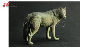 ماکت حیوانات گرگ figure of wolf