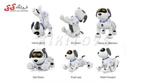 سفارش انلاین سگ کنترلی رباتیک زومر اسباب بازی STUNT  DOG K16B