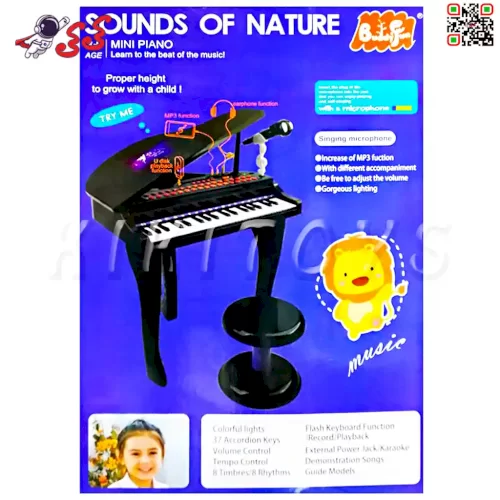 مشخصات و خرید پیانو اسباب بازی 88022 بلوتوثی به همراه میکروفون و پورت Baddy fan USB