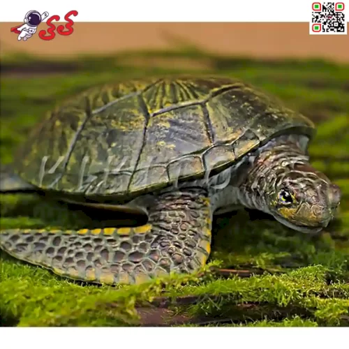 فیگور حیوانات ماکت لاک پشت دریایی بزرگ Fiqure of Turtle 459