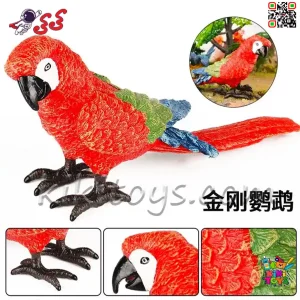 عکس فیگور حیوانات ماکت طوطی ماکائو قرمز بال سبز Fiqure Parrot Macaw