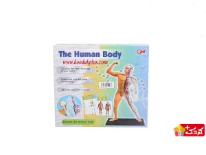 اسباب بازی آموزشی مولاژ کامل بدن The Human Body