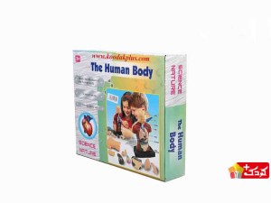اسباب بازی آموزشی مولاژ نیم تنه (10 تکه) سایز بزرگ مدل The Human Body 3301