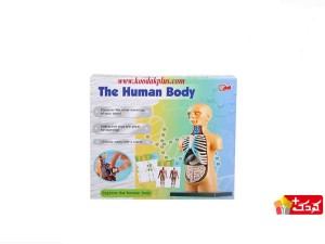 اسباب بازی آموزشی مولاژ نیم تنه (10 تکه) سایز کوچک مدل The Human Body 3305