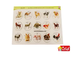 بازی آموزشی هوش چین مجموعه مدل چهار تکه
