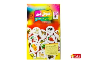 بازی آموزشی هوش چین یک تکه (همه مدل)