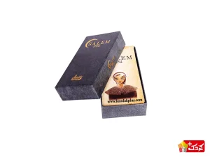 بازی salem 1692 مناسب رده سنی بالای 13 سال است