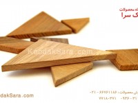 koodaksara_dot_com_tangram_sade_large_5_1486658013.jpg