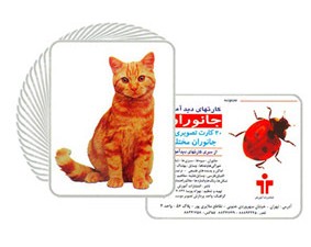 فلش کارتهای دید آموز در 9 عنوان