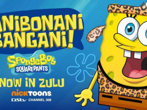 باب اسفنجی 12 فصل -  SpongeBob SquarePants بر روی فلش