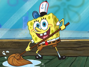 باب اسفنجی 12 فصل -  SpongeBob SquarePants بر روی فلش