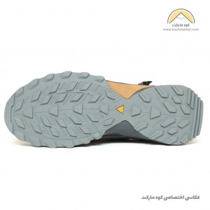 هامتو