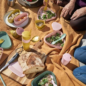 ظروف سفری