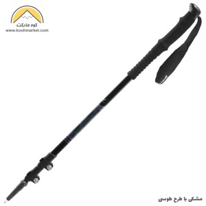 عصای کوهنوردی