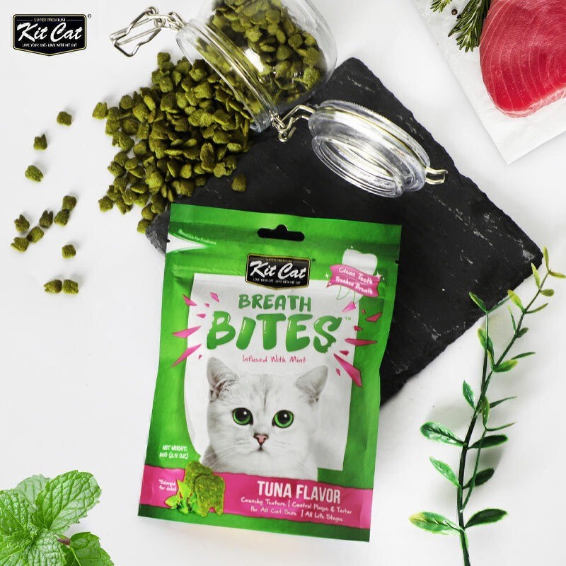 تشویقی دنتال گربه کیت کت با طعم ماهی تن KitCat Breath Bites Tuna وزن 60 گرم