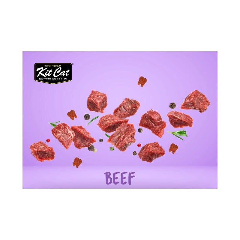 تشویقی چیپسی گربه کیت کت مراقبت از مجاری ادراری با طعم گوشت گاو Kit Cat Crisps Cat Treat With Beef وزن 20 گرم