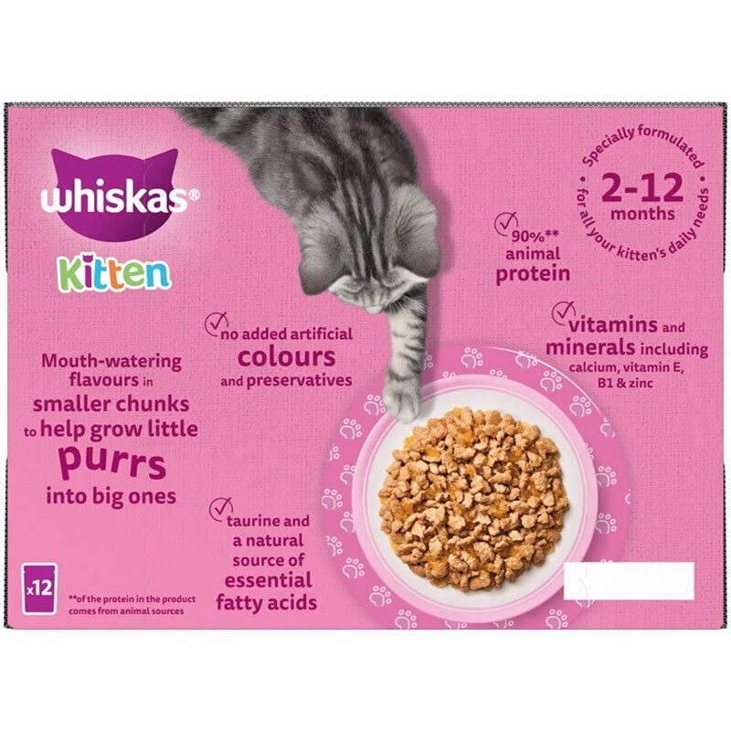 پوچ بچه گربه ویسکاس با طعم گوشت گاو Whiskas Kitten in Jelly وزن 85 گرم