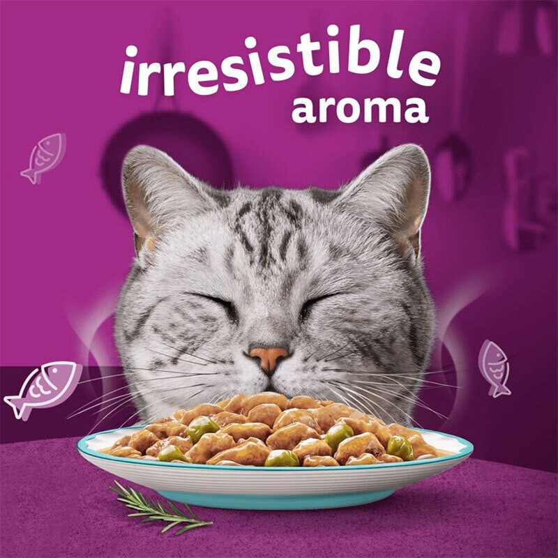 پوچ گربه ویسکاس با طعم میکس ماهی سالمون، کاد، تن و قزل‌آلا Whiskas Aromatic Selection Seafood Delight in Gravy بسته 12 عددی