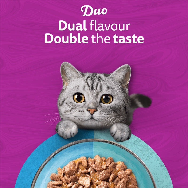پوچ گربه ویسکاس با طعم ماهی کاد و سالمون Whiskas Duo Ocean Delights in jelly وزن 85 گرم